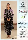 WhatsApp Image 2025-02-12 at 6.16.08 PM (1).webp